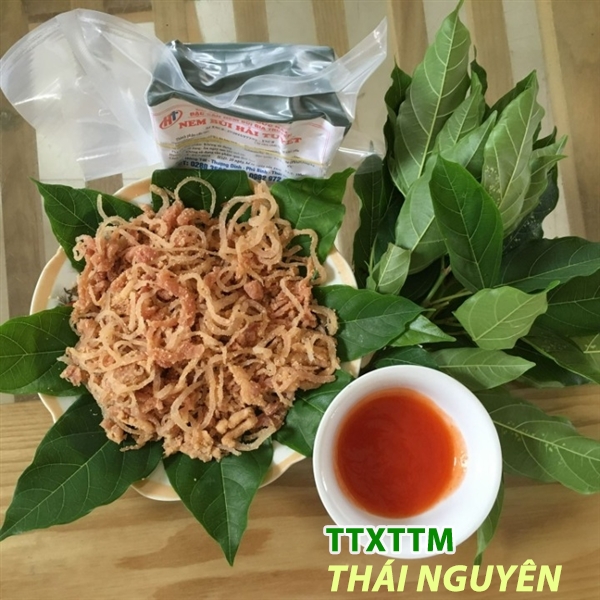 Nem Bùi Hải Tuyết 
