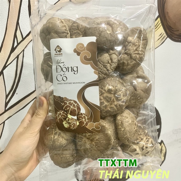 Nấm Hương Đông Cô Phú Gia