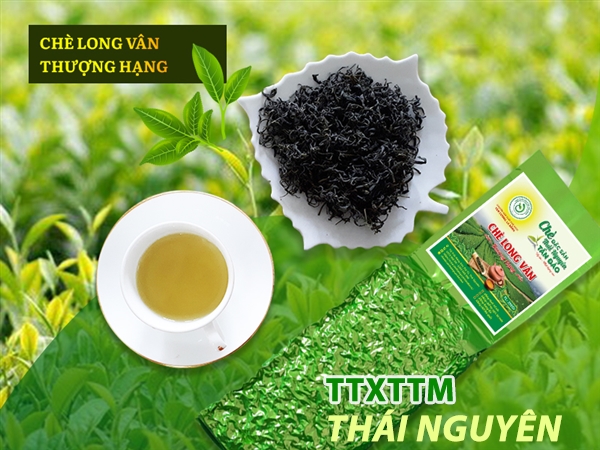 Long Vân Trà