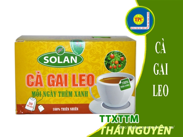 Trà Gai leo 60g