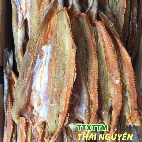 Cá mối hương 500g